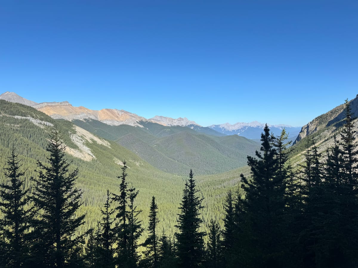 Cold Sandwiches and Hot Springs @ Jasper National Park